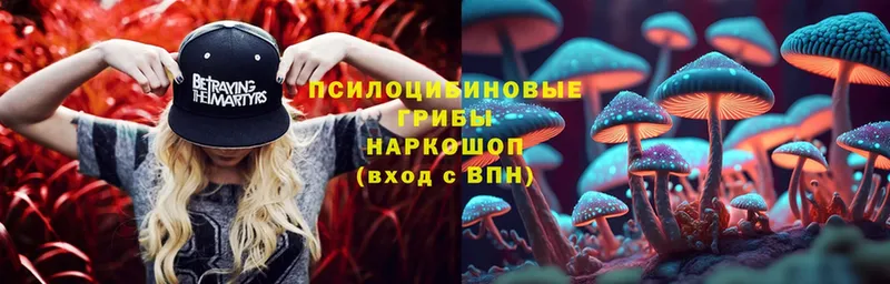 Псилоцибиновые грибы Psilocybe  продажа наркотиков  Бузулук 