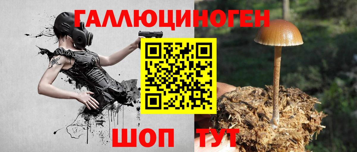 Галлюциногенные грибы ЛСД  Бузулук 